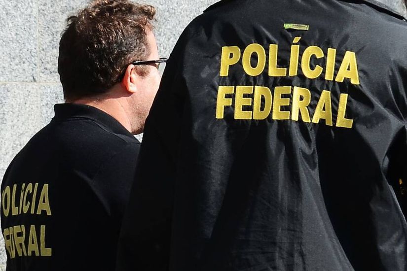 PF deflagra operação contra a extração e comércio ilegal de madeira na Amazônia
