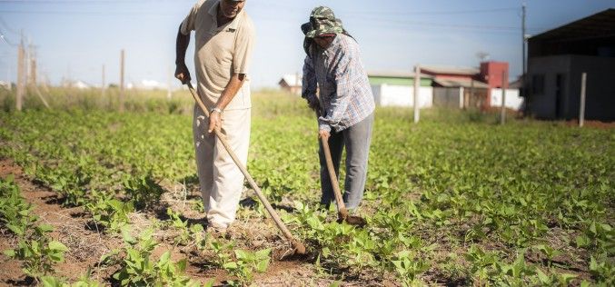 Crédito rural de R$ 922 mil beneficiará agricultores de assentamento em Campo Verde