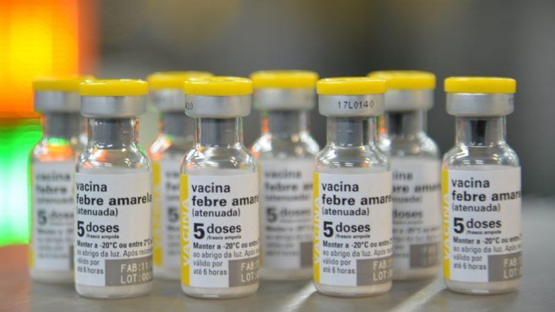 Especialistas debatem uso de dados para prever surtos de febre amarela