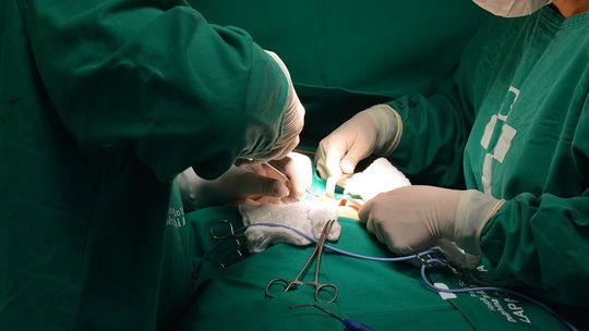 Em oito meses, número de cirurgias eletivas cresceu 39,1% no Brasil