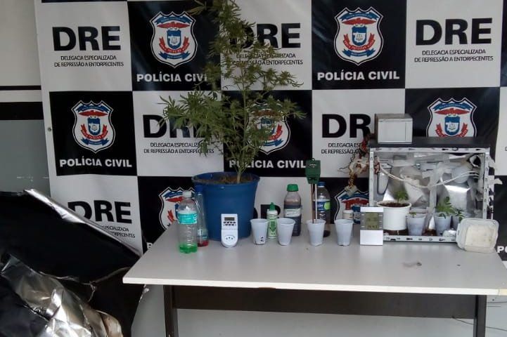Estufa com plantação de maconha é apreendida dentro de guarda-roupas de estudante