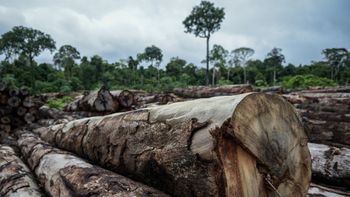 Terras públicas e áreas protegidas somam somam mais de 40% do desmatamento na Amazônia