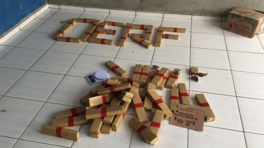 Polícia apreende 50kg de maconha dentro de residência e quatro são presos 