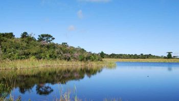 Supremo mantém validade de artigos do Código Florestal