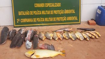 Polícia Ambiental apreende pescado em casa do Altamirando
