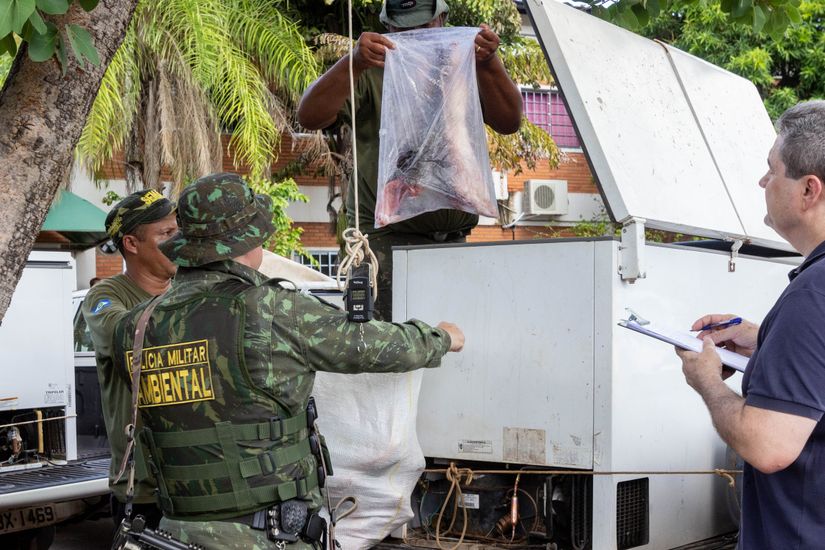 Sema apreende mais de uma tonelada de pescado ilegal