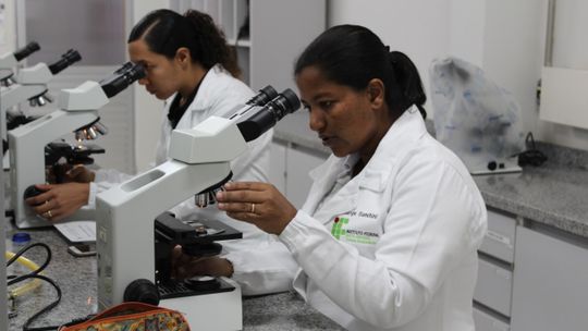 IFMT Rondonópolis abre 56 vagas para Ensino Superior