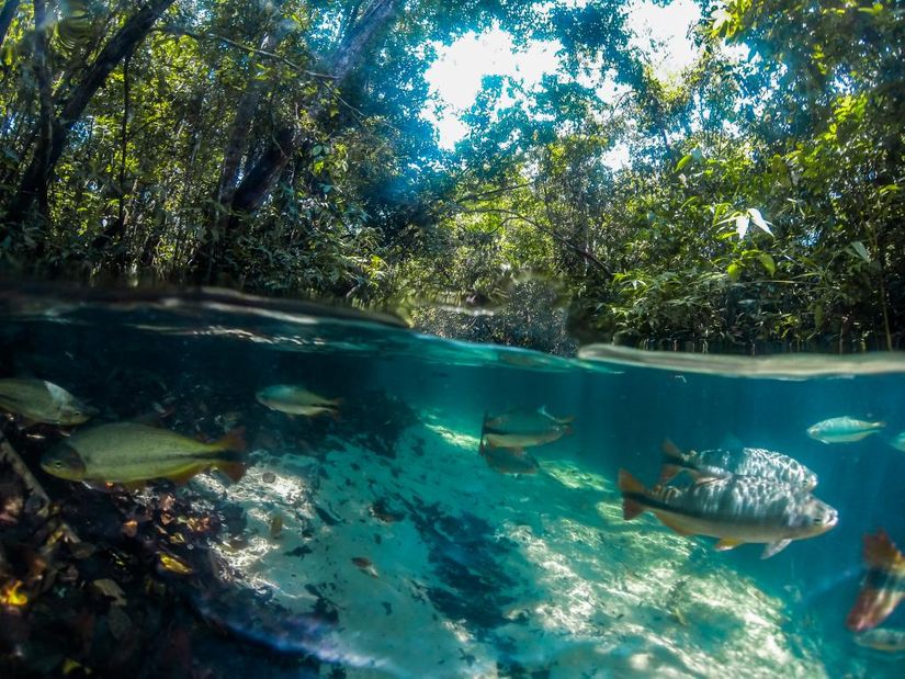 Turismo sustentável é tema da 13ª edição da Semana do Meio Ambiente