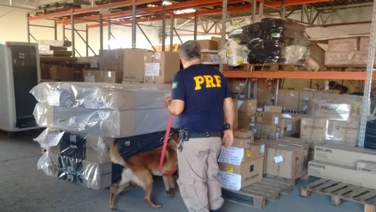 Sindicato de MT propõe parceria com a PRF para coibir tráfico de drogas
