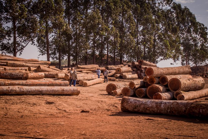Primeira fiscalização da Plataforma Planet gera R$ 7,5 milhões em multas