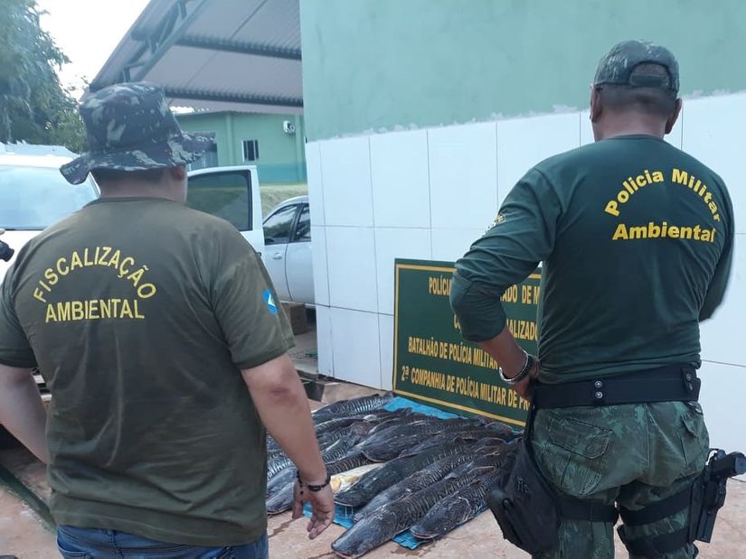 Ação conjunta entre Sema e Polícia Ambiental apreende 200 kg de pescado