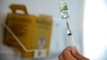 Ministério da Saúde esclarece: Não existe vírus H2N3 no Brasil