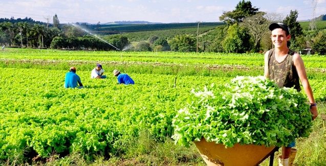Agricultor familiar tem aumento no limite do crédito para aquisição de terra