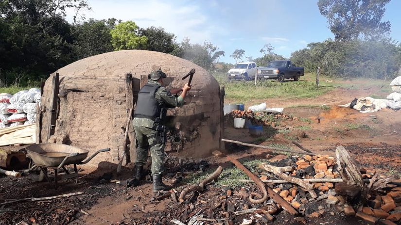 Polícia Ambiental encontra carvoarias clandestinas em fazendas na MT-370