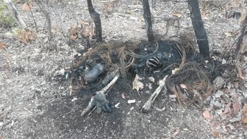 Populares acionam a PM após encontrar corpo carbonizado em sem cabeça em MT