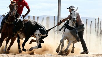 Plenário da Câmara aprova projeto que regulamenta a vaquejada