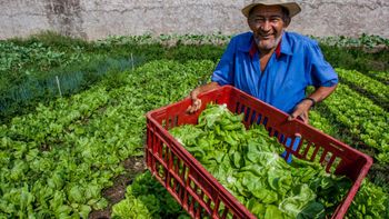 Botelho indica recursos do Fethab à Agricultura Familiar