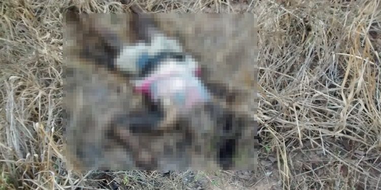 Corpo com perfuração no crânio e avançado estado de decomposição é localizado em zona rural