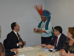 Parlamentares e indígenas pedem ao STF suspensão da PEC 215