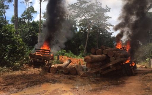 Sema e Ibama realizam Operação Apoena para conter desmatamento ilegal