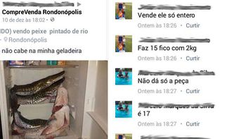 Usou o facebook para vender peixe em época de piracema e se deu muito mal