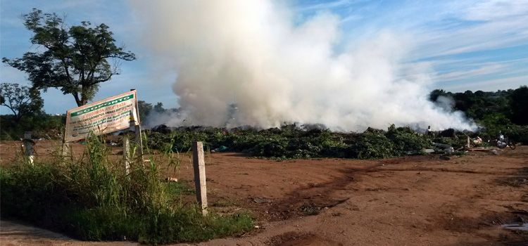 Com início da época de seca, queimadas urbanas voltam com força
