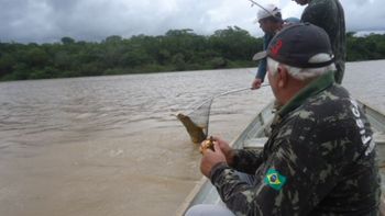 Deputado Zeca Viana recebe vídeo que mostra servidores da Sema em pescaria na piracema 