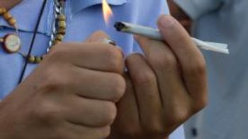 Regulamentação do uso da maconha divide opiniões em comissão do Senado
