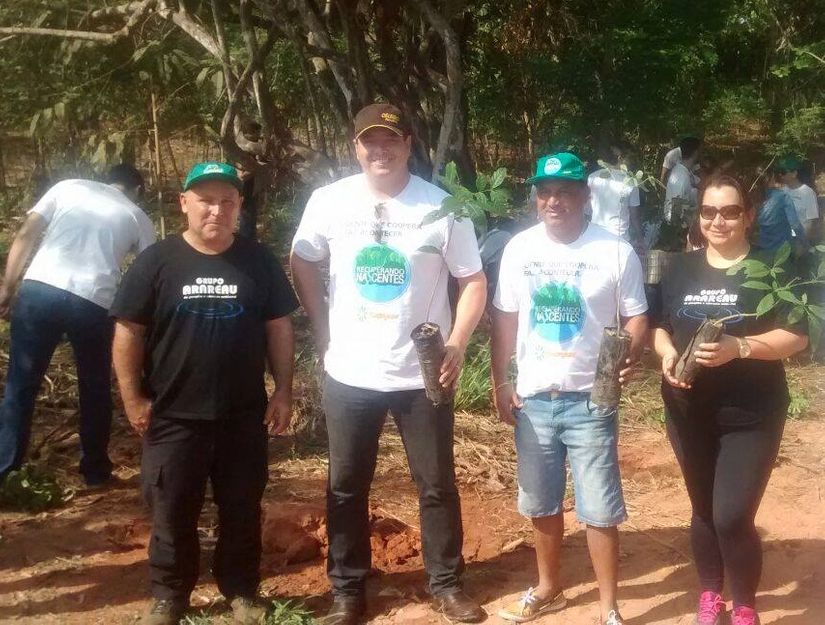 Sicredi dá bom exemplo e planta centenas de mudas de árvores às margens do Rio Vermelho