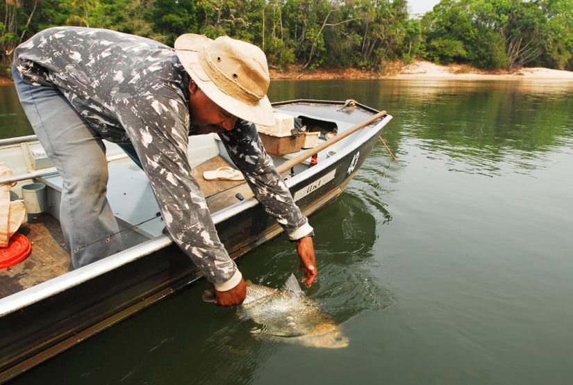 Lei da Pesca volta a ser discutida pela Assembleia