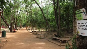 Horto florestal marca Dia Mundial de Atividade Física em Rondonópolis