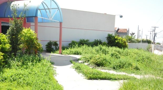 Mato toma conta do Centro Cultural José Sobrinho