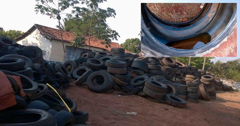 Terreno da prefeitura de Pedra Preta está tomado por pneus velhos