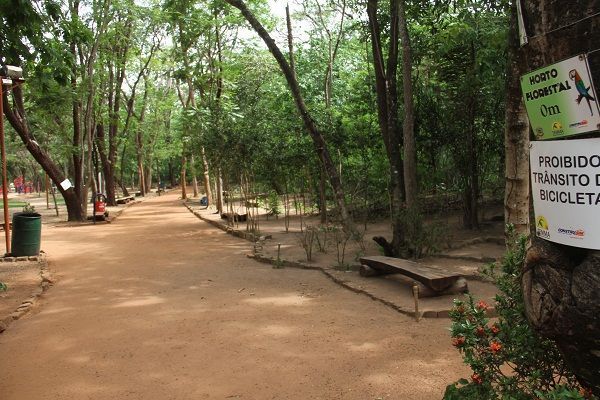 Horto florestal marca Dia Mundial de Atividade Física em Rondonópolis
