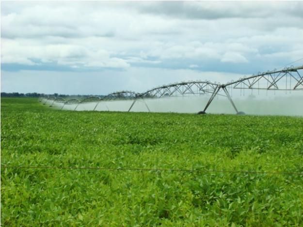 Ruralistas promovem novas mudanças no Código Florestal e matéria vai à sanção presidencial