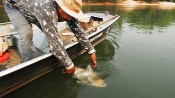 Lei da Pesca volta a ser discutida pela Assembleia