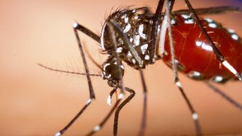 Dobra o número de municípios de Mato Grosso em alerta