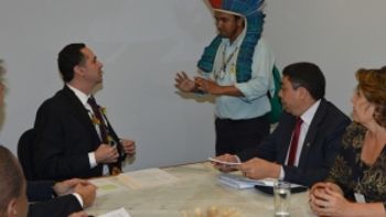 Parlamentares e indígenas pedem ao STF suspensão da PEC 215