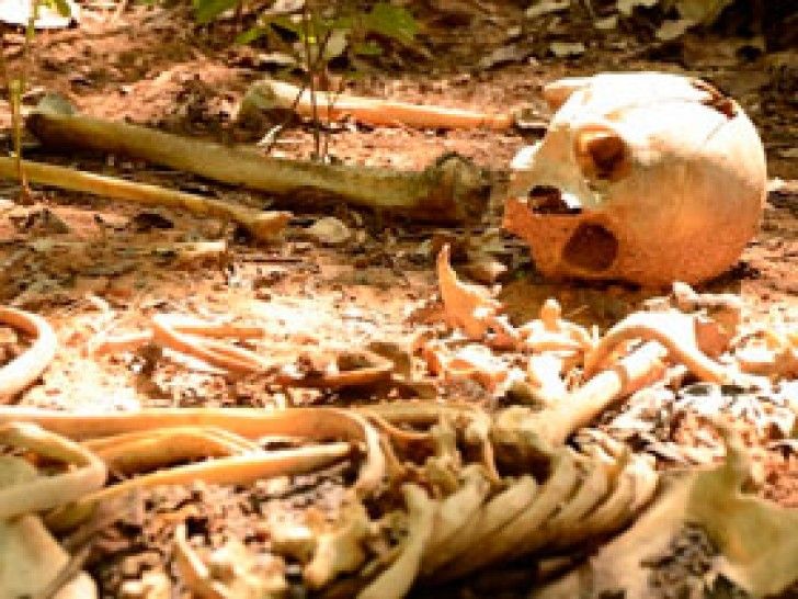 Ossada humana encontrada na Gleba Rio Vermelho ainda não foi identificada