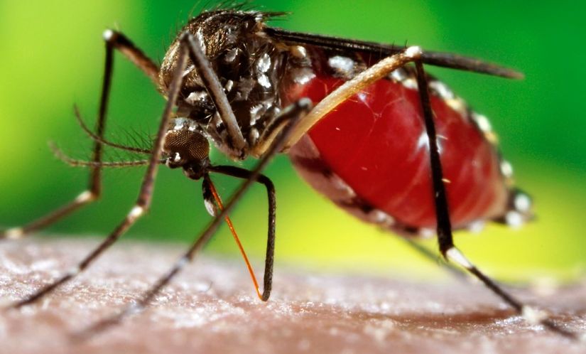 Rondonópolis contabiliza 1.910 casos de dengue este ano