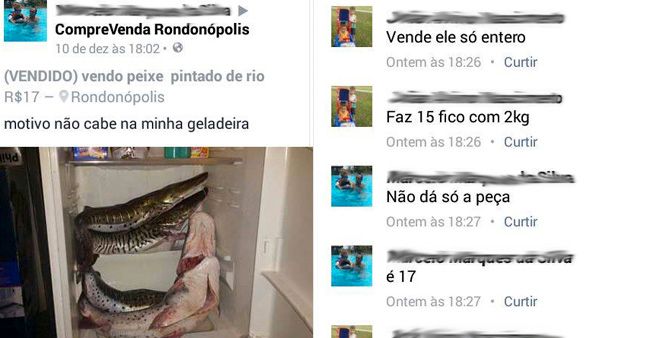 Usou o facebook para vender peixe em época de piracema e se deu muito mal