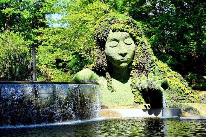 Quem não gosta de ver um jardim bonito? 