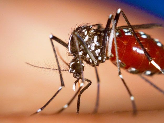 Dobra o número de municípios de Mato Grosso em alerta