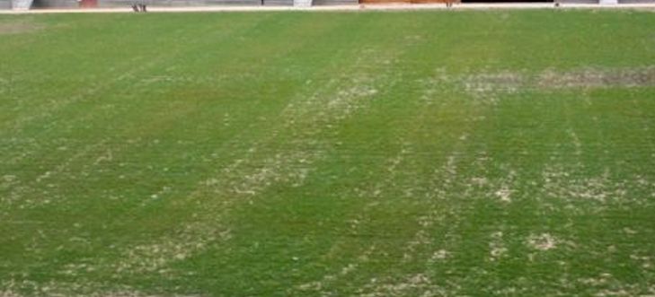 Arena Pantanal sofre com o abandono do governo e com as pragas no gramado