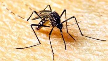 Mato Grosso registra primeira confirmação de morte por dengue