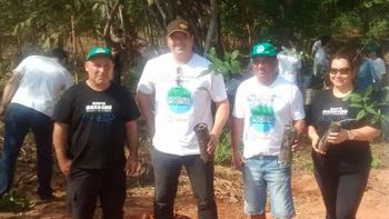 Sicredi dá bom exemplo e planta centenas de mudas de árvores às margens do Rio Vermelho