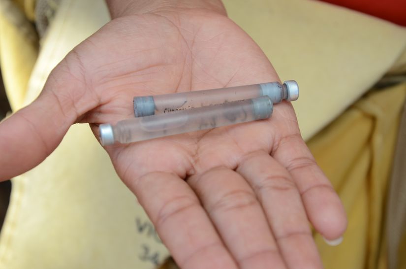 Casos de dengue em Mato Grosso aumentam 114,9%