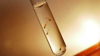Secretaria de Saúde precisa explicar o que causou epidemia de Dengue em Rondonópolis
