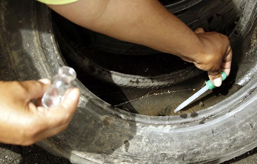 Com mais de 7 mil casos de dengue no Estado, SES se preocupa com a dengue tipo 4