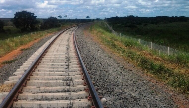 Animais ganham travessias subterrâneas ao longo da ferrovia em Mato Grosso